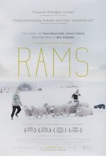 rams2